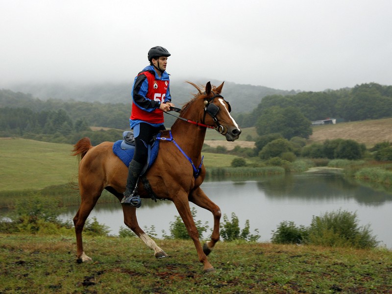 Clasificaciones de los Raid CEI*, CEN 0* y Promoci&oacute;n, celebrados el d&iacute;a 3 de septiembre en Larrainzar. Eduard Dur&agrave;, 2&ordm; en el CEI* y David Osinaga, 1&ordm; en el CEN 0*.